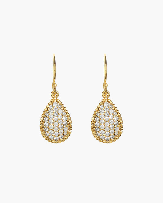 Leah Crystal Teardrop Earrings